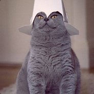Commander Whiskers