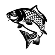 Carp_Kevin
