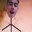 Group Avatar