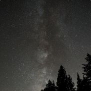 2gosu