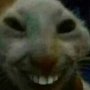 ¿