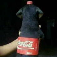 COCACOLADOG