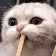 Okami
