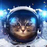 Mr.SaintCat