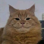 kssesh