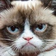 EA_Grumpy