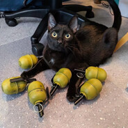 Steam Community Avatar