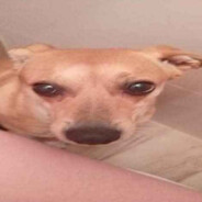 Bagieta