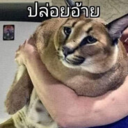 666