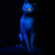 NekoGamerX