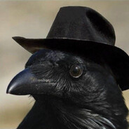 raven ravenicov