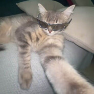 Vinny