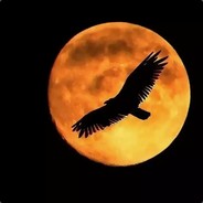 ✞NightEagle✞