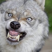 HnusnyVlk
