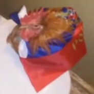 Нахтигаль ⚡️⚡