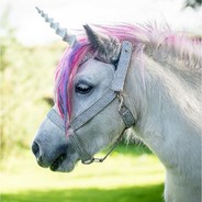 petite licorne