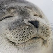 Fl0rAl#1