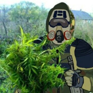 DdosOblava