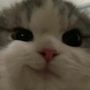 arishaaa