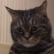 ꑭDeFꑭ