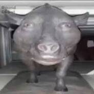 Маматкунем
