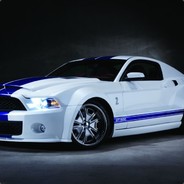 Striker [PL]