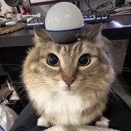 qweqwe