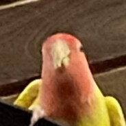 Crep