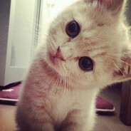 bebebeeee