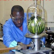 we wuz kangz
