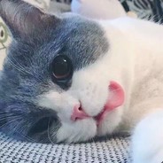 阿青晨