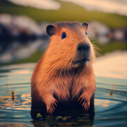 Capybara
