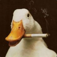 Duckman Drake