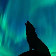 -Aurora-