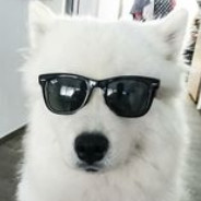 xchankie