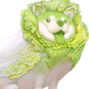 菜狗