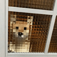 Perro Pixelado