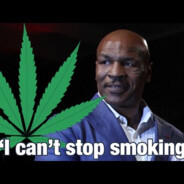 $PNmagie