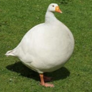 LeChonkyGoose