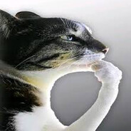 𝕸𝖎𝖓𝖌𝖔 avatar