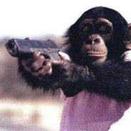 Monkey Business