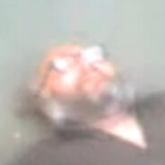 Kuk Tibor
