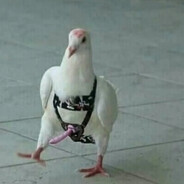 трах трахыч