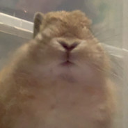 Gigiez