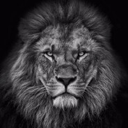 The Lion