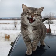 [K]oTik