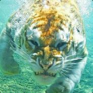 AquaTiger