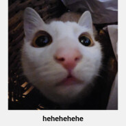 wwwwwwwwwwwwwwwwwwwwwwwwwwwwwwww avatar