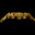 Group Avatar