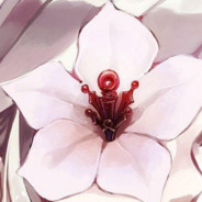 MaidGalaxy